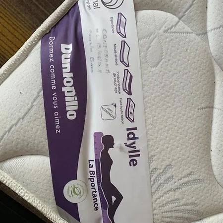 Jacobins ホームステイ